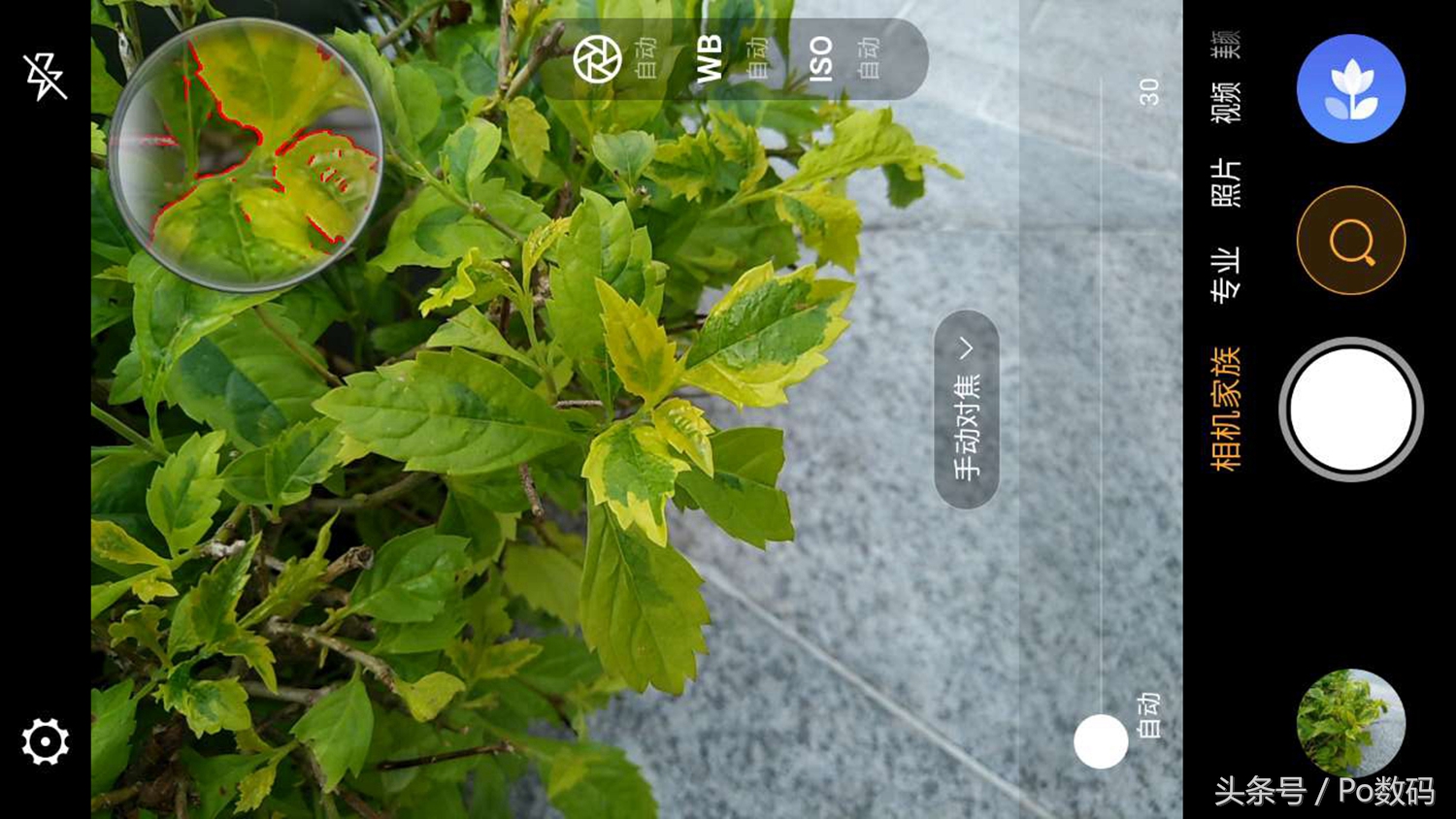 拍照媲美14ultra的千元机,拍照技术照片测评