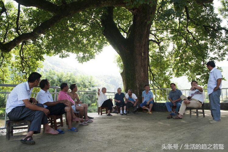 我的家乡崇阳市,家乡美我的故乡原唱