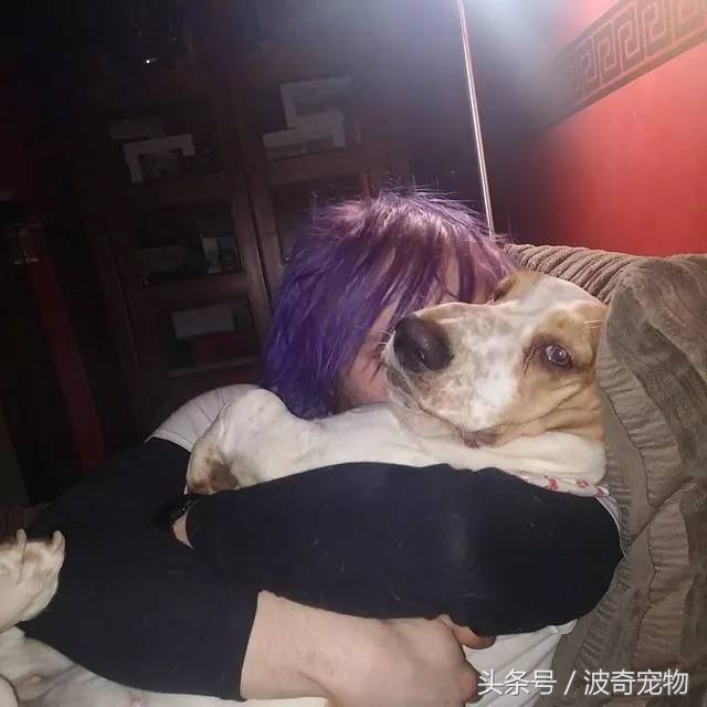 狗狗和你亲的几个表现,当你和你家的狗对视