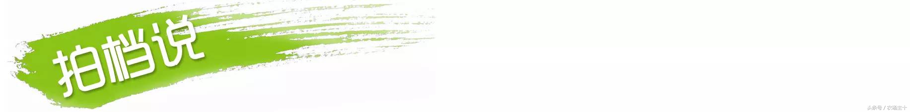 牛油果是怎么炒作起来的,牛油果是怎样炒作起来的