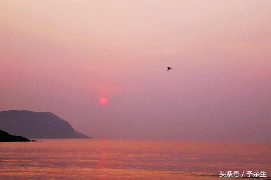 行麦径风景时宿轻沙绵风中