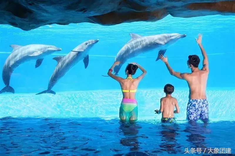 珠海长隆海洋王国游玩攻略时间表,珠海长隆海洋王国游玩攻略文字版