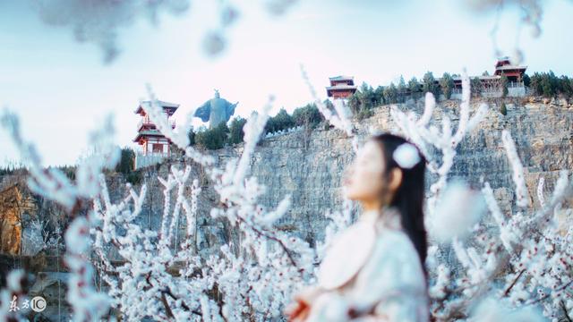 故事：她逗弄着三个小包子，原是玩笑话不料却被她定了亲