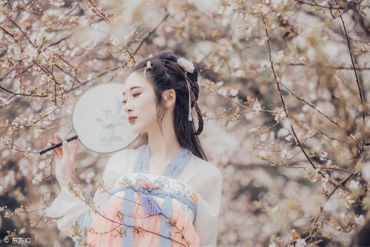 女主被废武功尽失的小说,小说女主修为全无男主要退婚