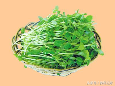 餐桌上常见的本土作物是什么,10种常见的粮食作物