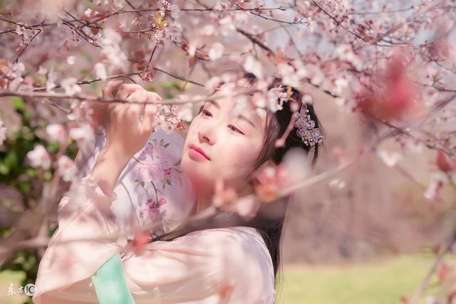 小说：力挑妖塔，五域震动！九层至尊，无霜龙王！