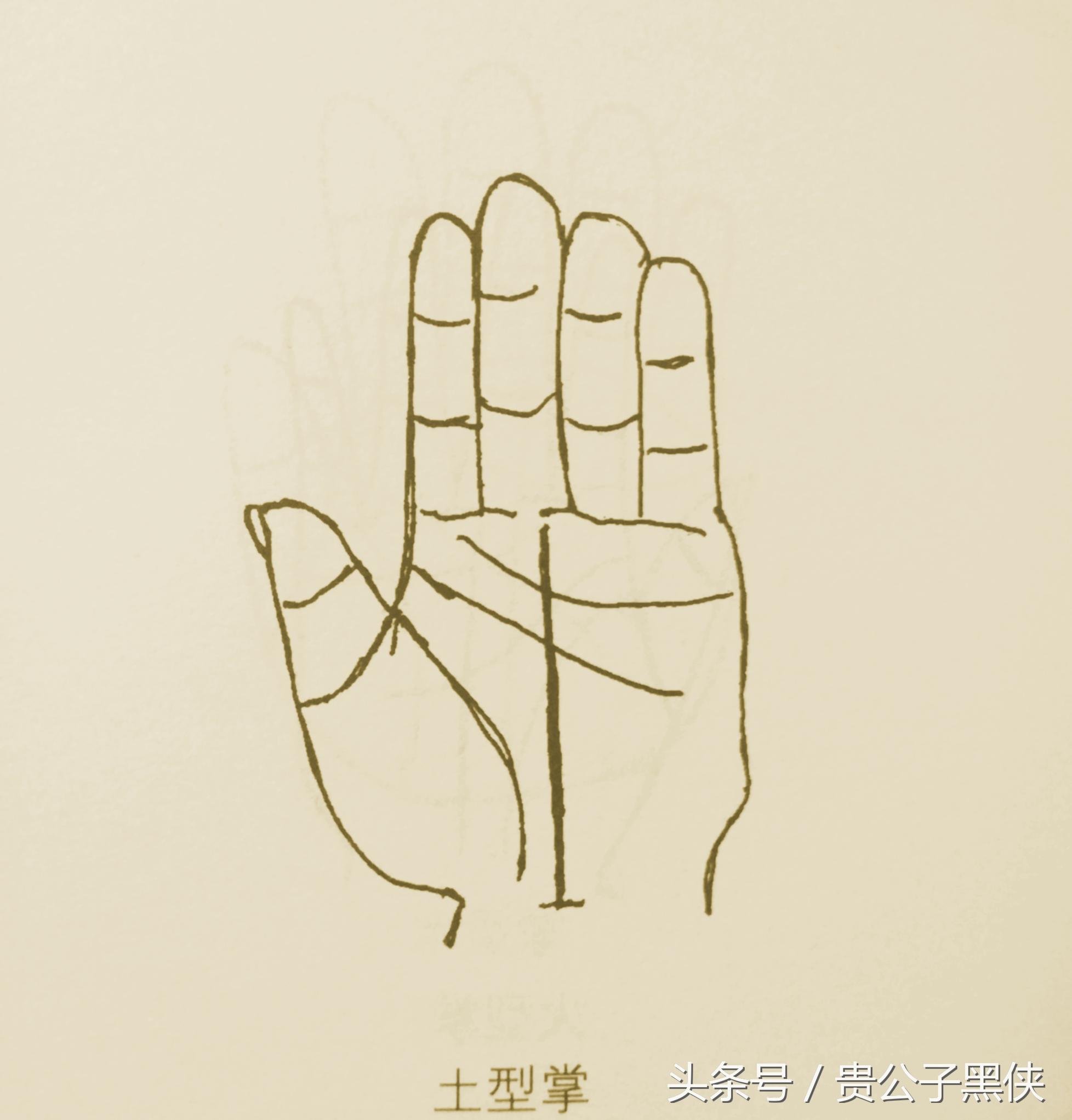 看手相算命的基本话术,学会看手相能给好朋友看吗