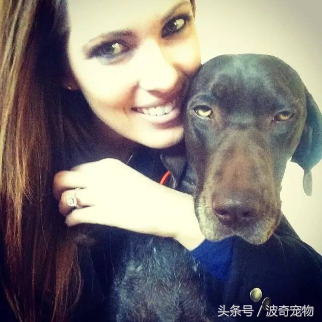 狗狗和你亲的几个表现,当你和你家的狗对视