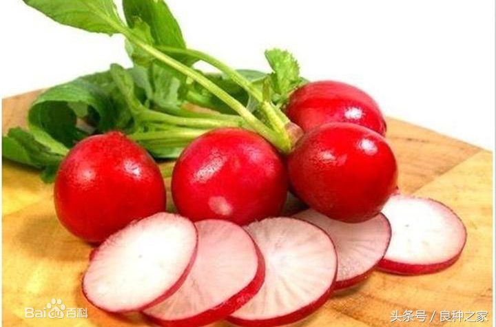 餐桌上常见的本土作物是什么,10种常见的粮食作物