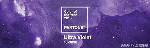 站在食物链最顶端的是什么,站在食物链顶端永远是高层