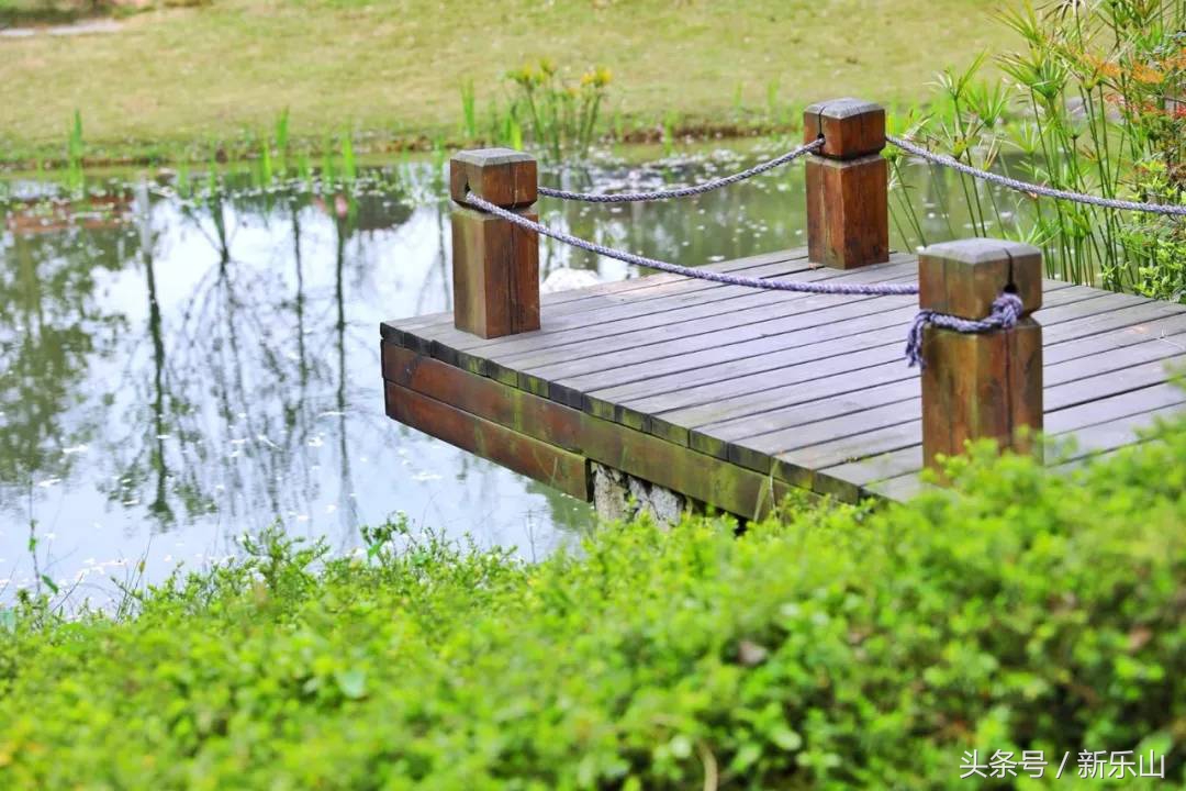 乐山的春天有多美,没去过乐山大佛但感觉去过