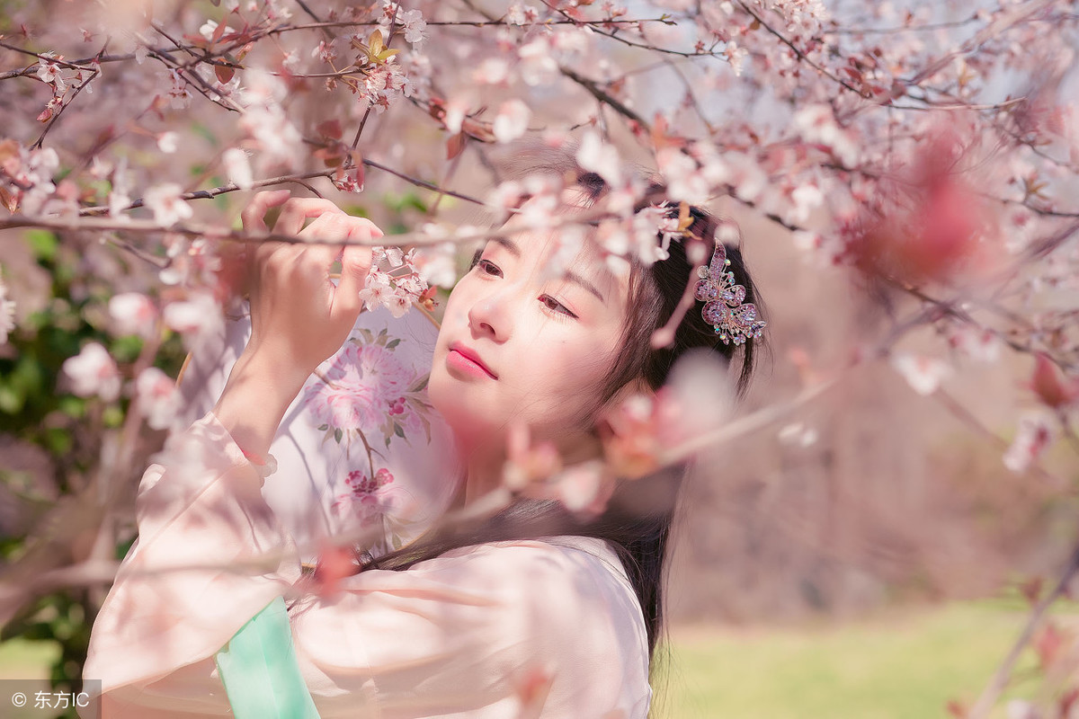 小说：看似给大家做饭的她，却背地里炼出万金油解毒丸