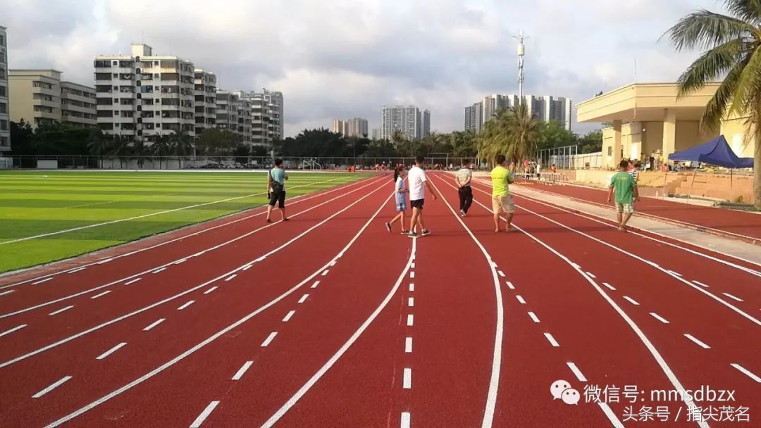 电白中学招生链接,2020年电白中学网上报名