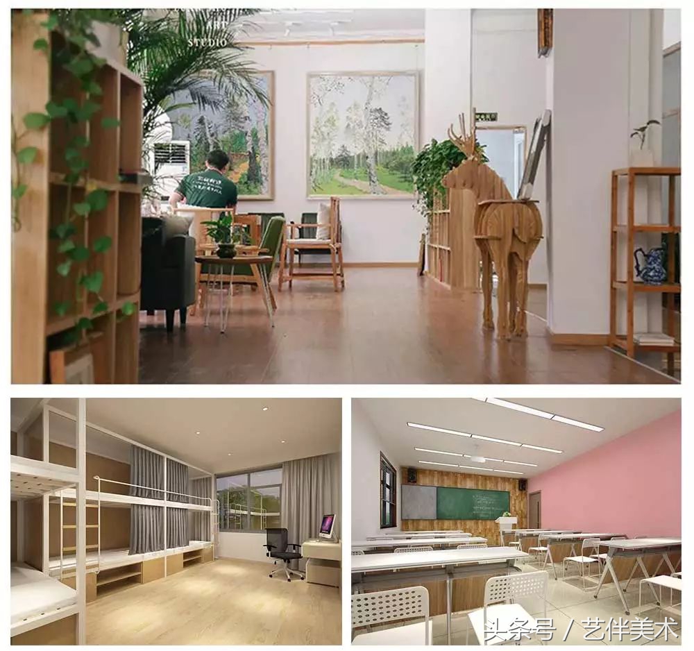 栾树画室北京,栾树画室