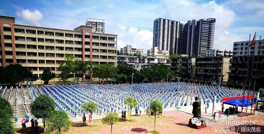 电白中学招生链接,2020年电白中学网上报名