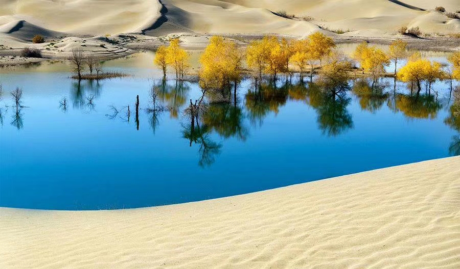 新疆的盐湖复活了吗,死海真实现状