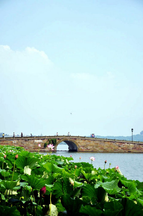 从上海回杭州说说,从上海回到了老家