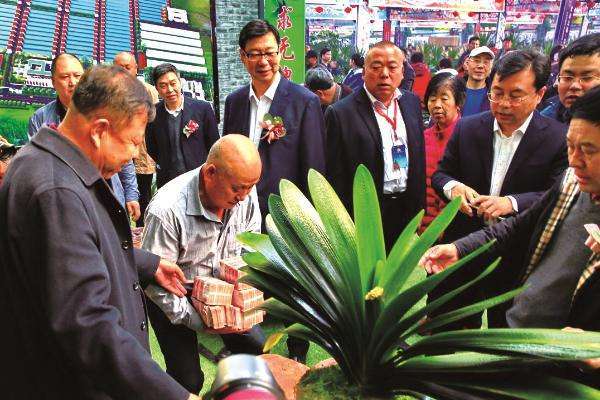 家里养的富贵花让你养几年才会开,客厅富贵花大全