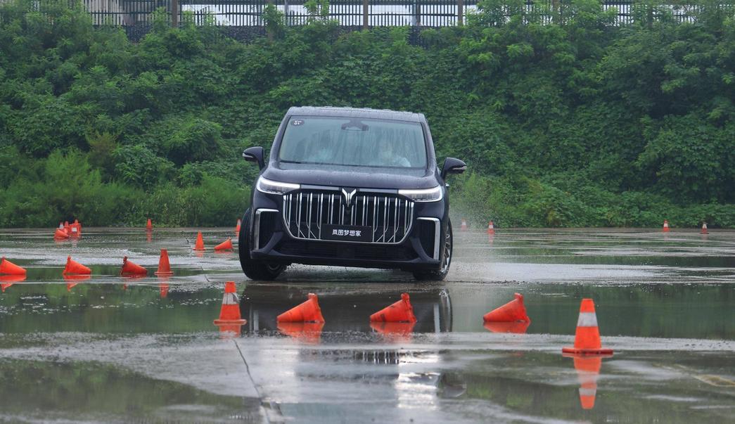 价位很接近，定位也都高端，岚图梦想家PK腾势D9，怎么选？