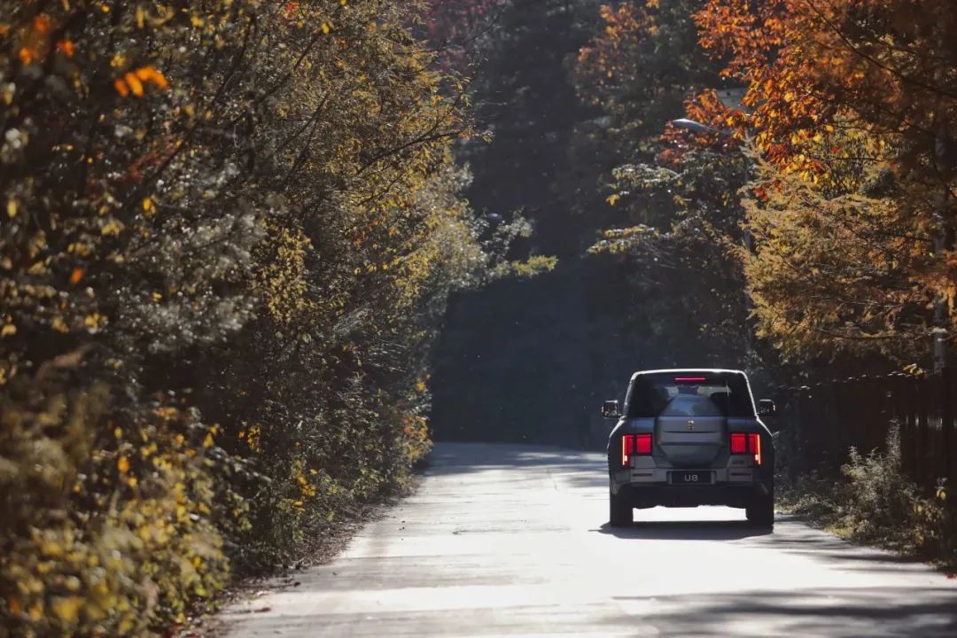 仰望u8凭什么卖那么贵,仰望U8说说