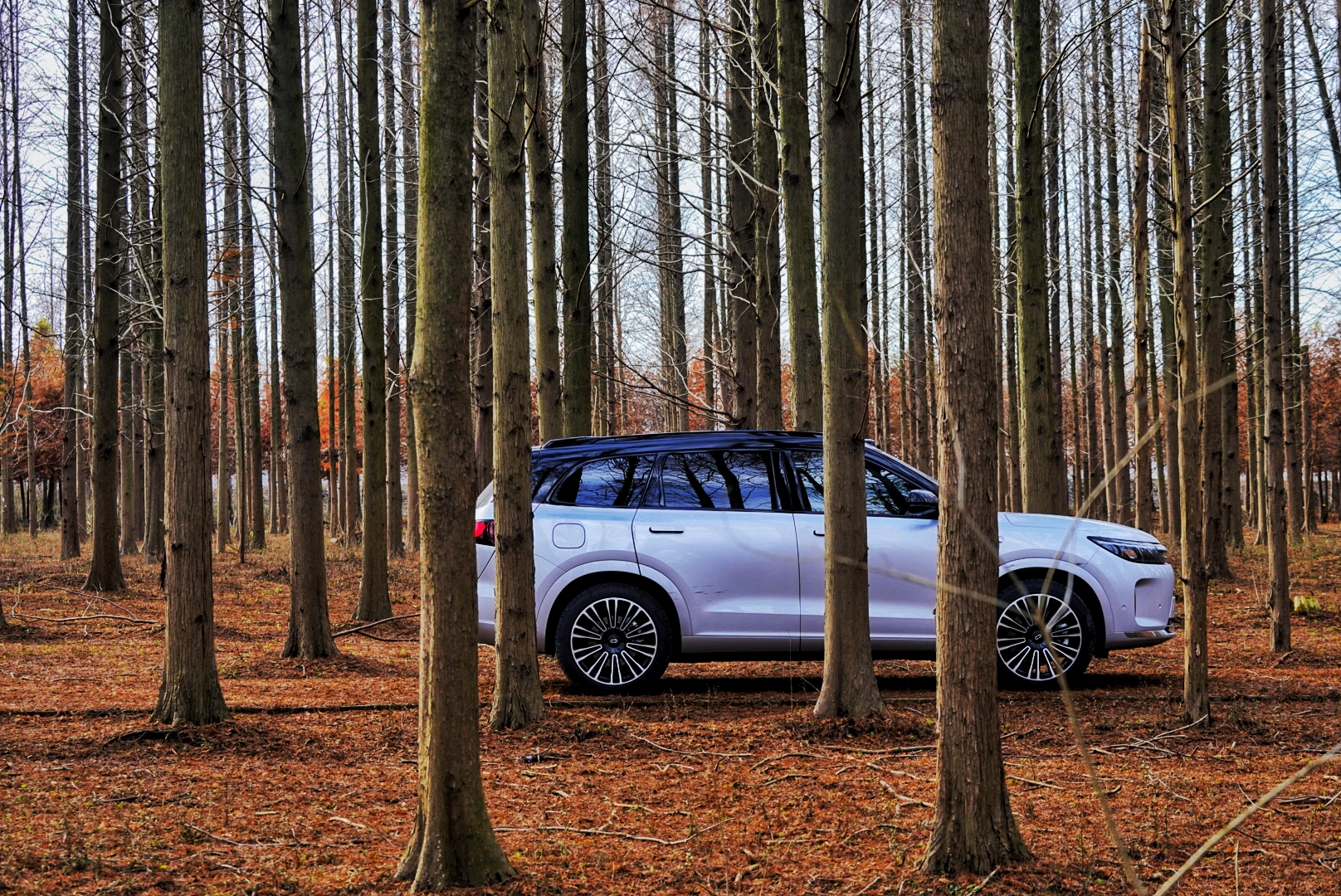 问界m7后驱plus6座版和智驾max6座,新问界m7车主用车感受