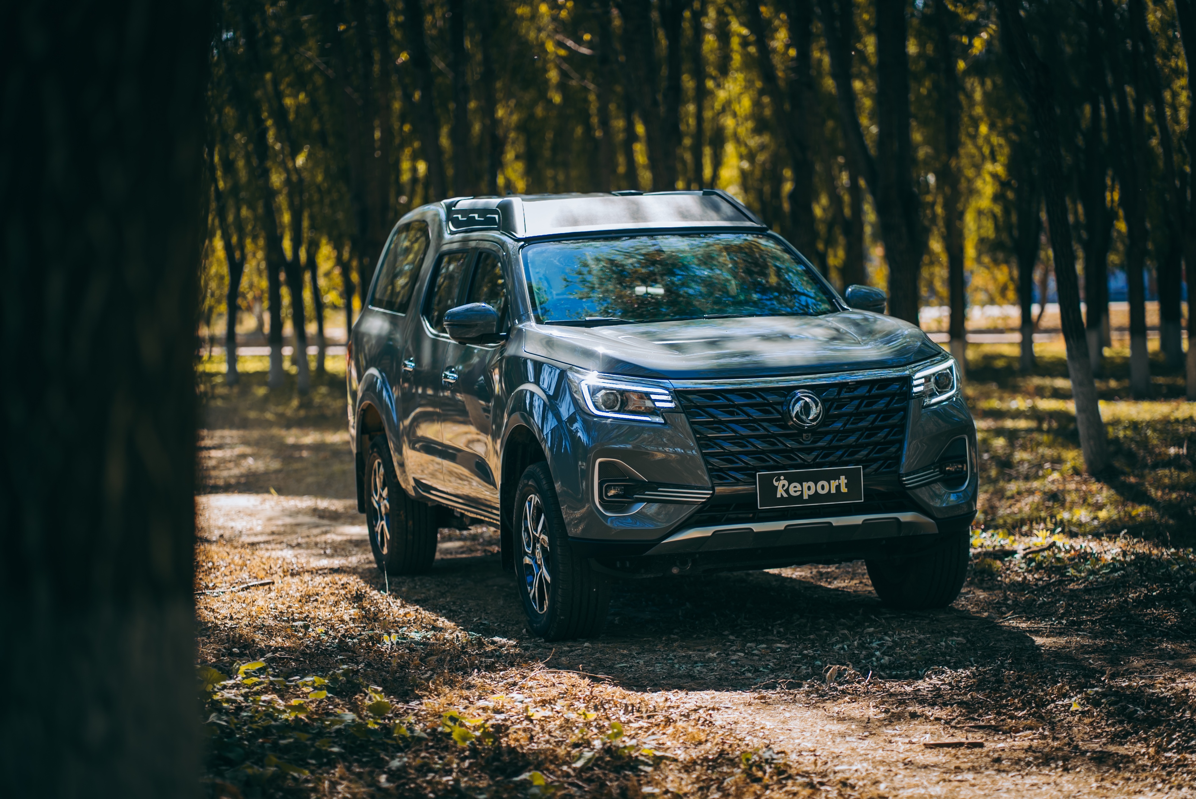 新款帕拉索申报图曝光,帕拉索新款2022四驱