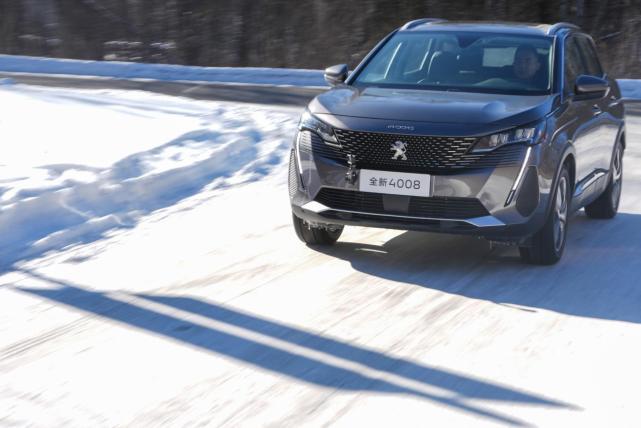 把狮群放到森林会怎么样,沉浸式体验18款标致4008