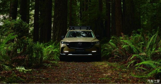 送三年全合成机油*款贷**购车0利率CX-50行也领衔