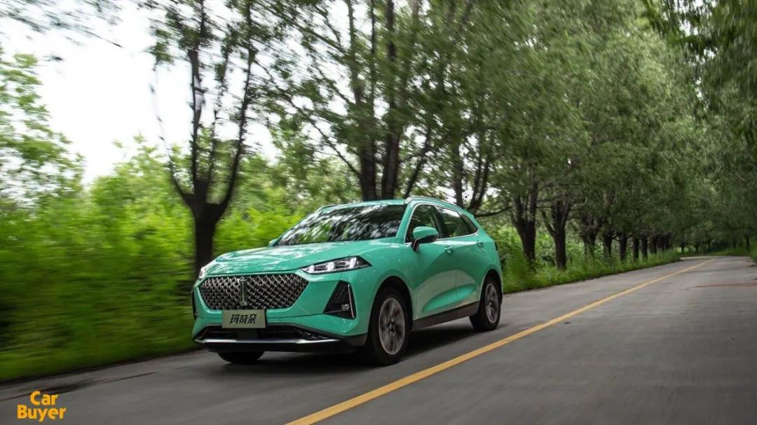 wey玛奇朵用车感受,wey玛奇朵到底省不省油