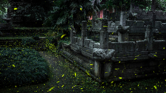 我被一只鬼缠上了超长版,我被一只鬼缠上了小说