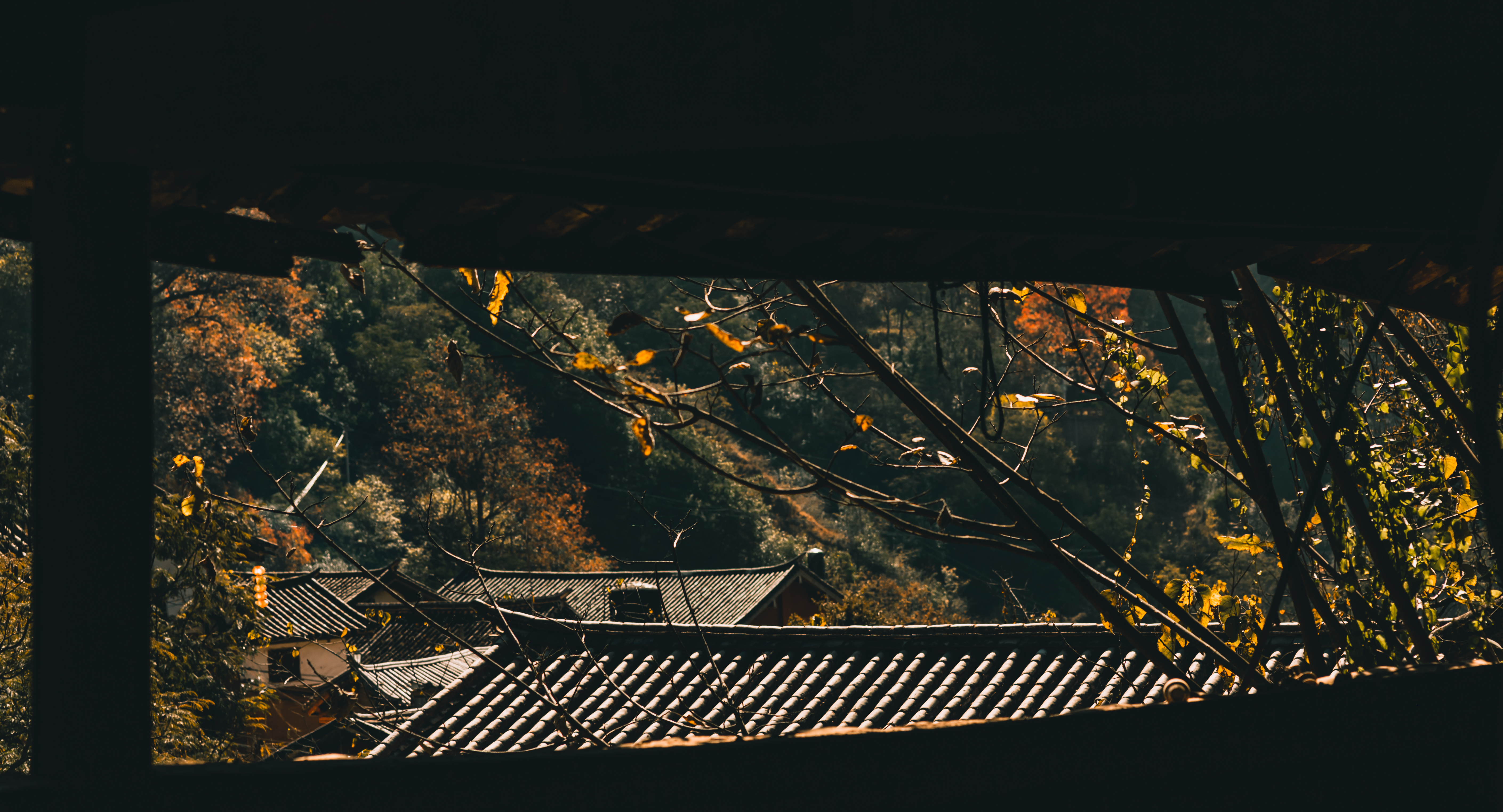 法学小白如何学习法考刑法,法律专业学生看罗翔