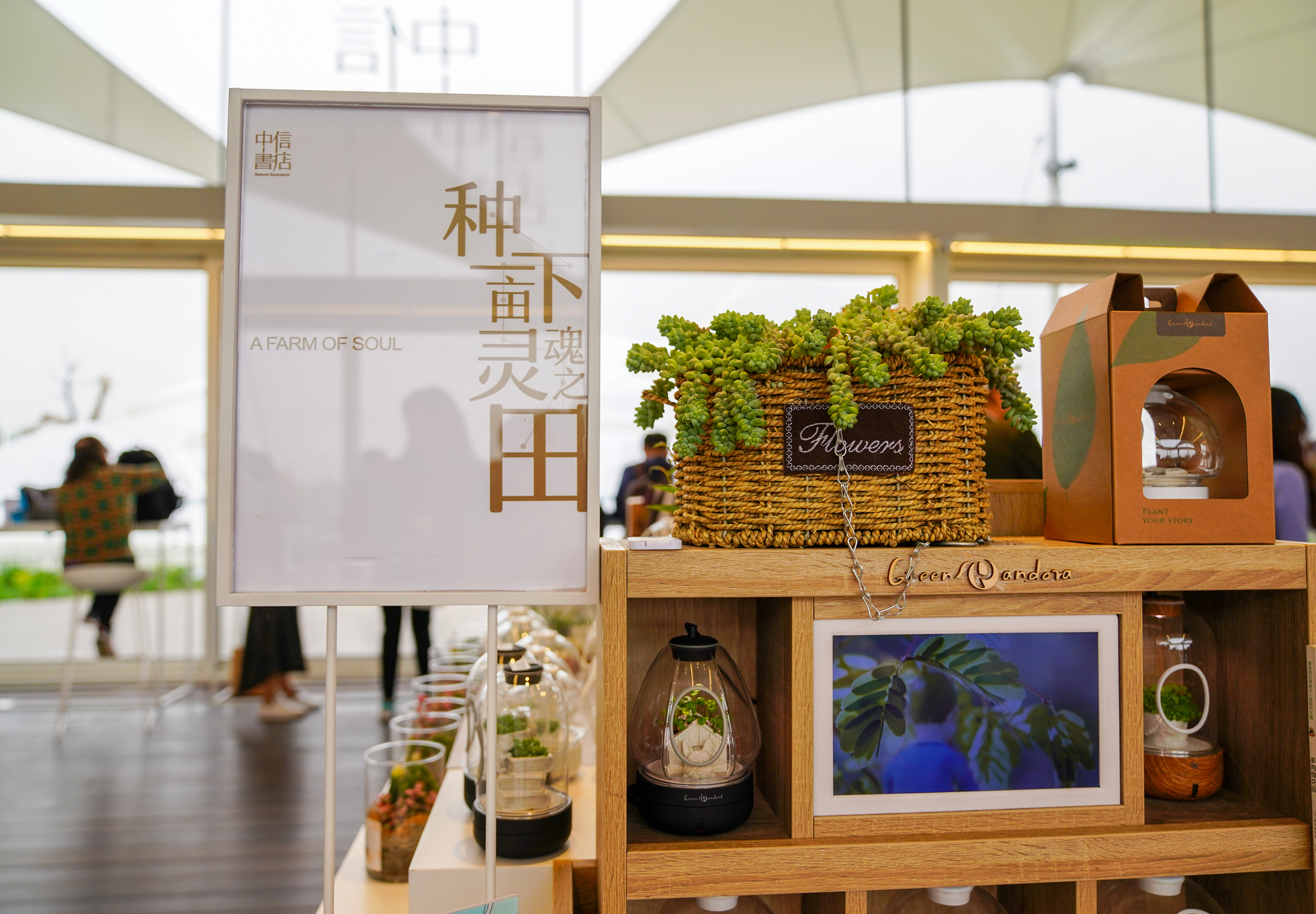 北漂女子故事,北漂女孩的故事50集