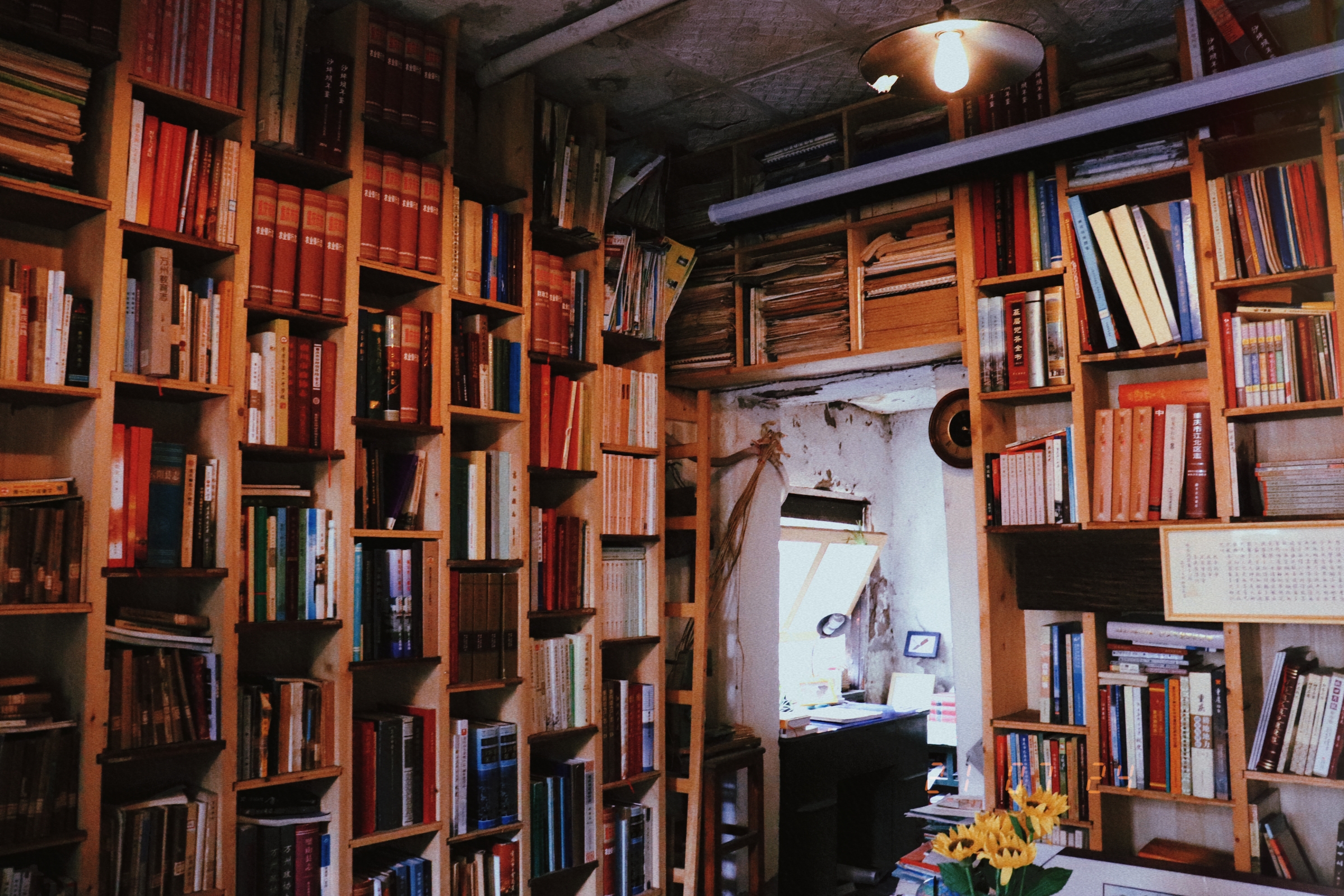 福禄娃保险靠谱吗,福禄娃终身重疾险值得买吗