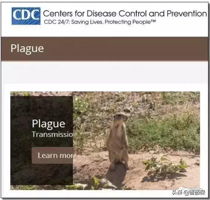 得了鼠疫有救吗,得了不治之症保险能赔多少