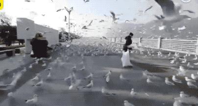 中国游客都不出门了，这谁顶得住？