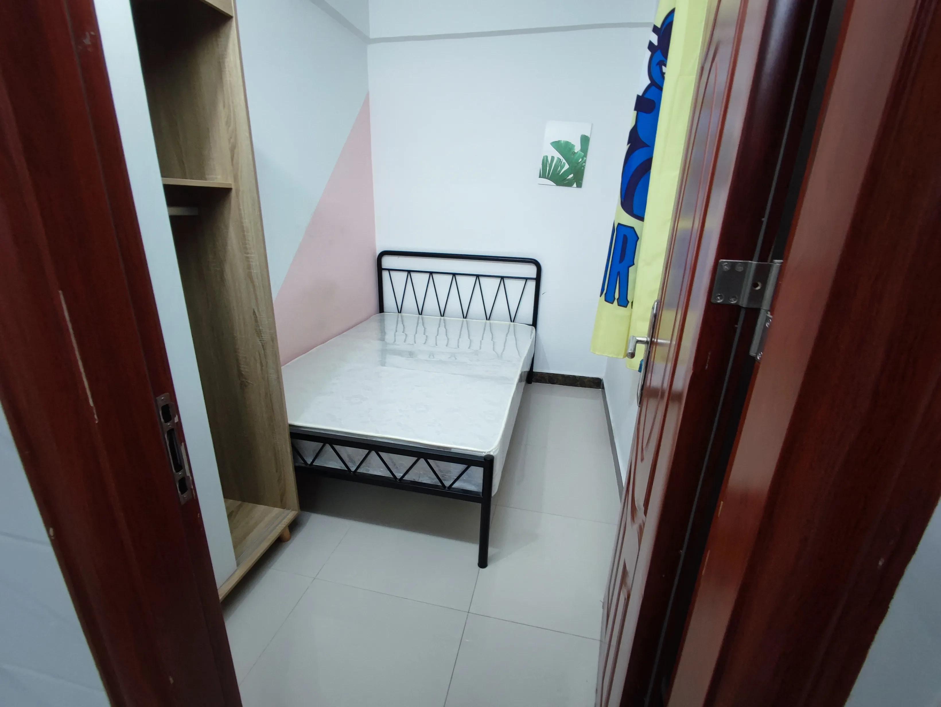 龙归什么时候更新,龙归工厂实拍最新