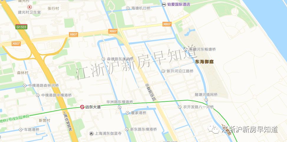 迪士尼别墅楼盘,上海浦东迪士尼花海自建房出售