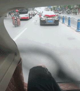 因舍不得主人出嫁，它选择这样做，“不管你去哪，带上我一起！”