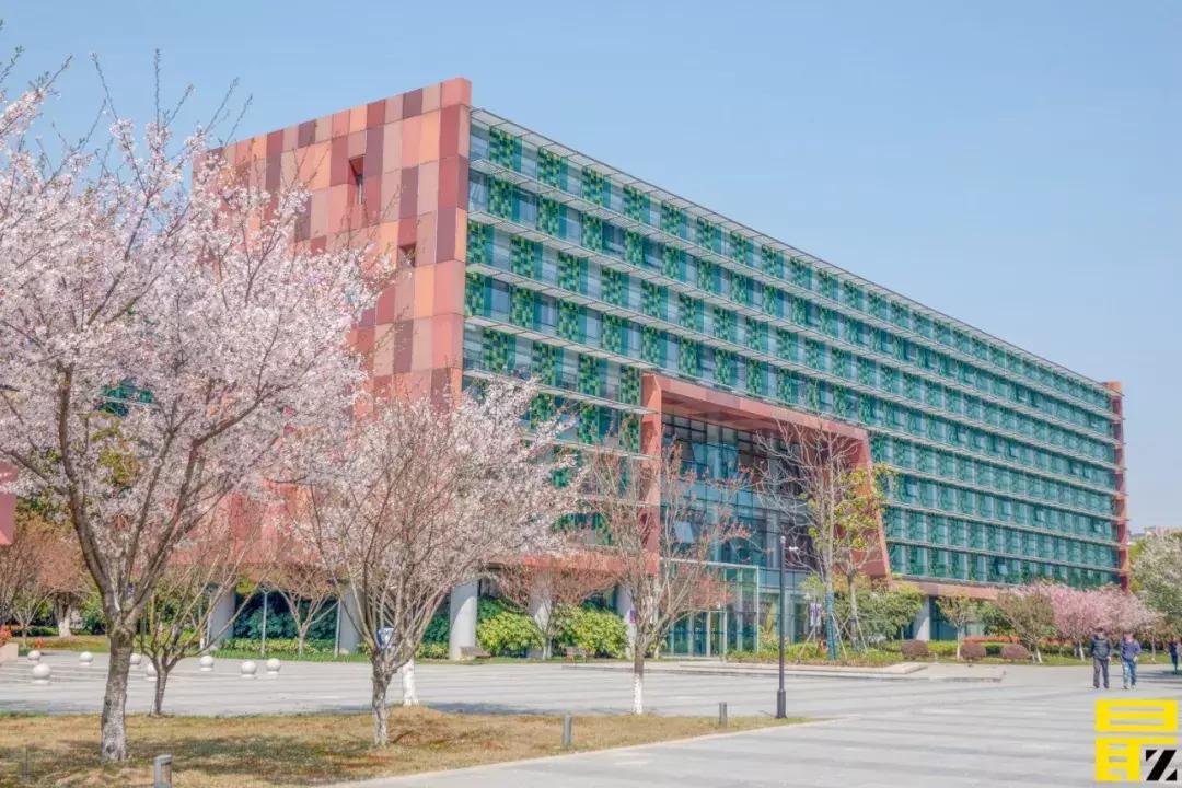 西交利物浦苏州校区,苏州西交利物浦美女