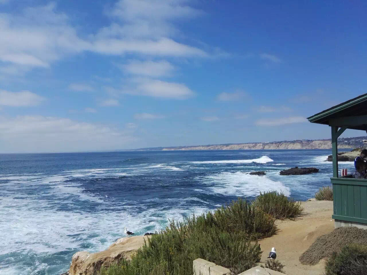 年薪5万的工作要求,年薪500万美元的工作有哪些