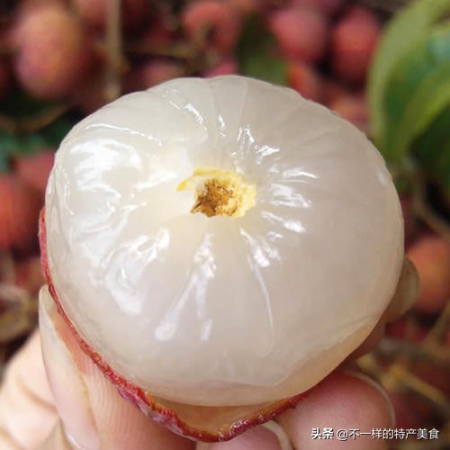 夏季清凉解暑水果,在夏天可以吃到解暑的水果有哪些