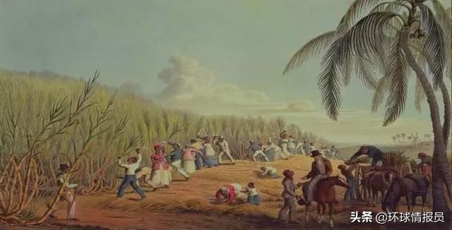 鍦簹閭ｅ睘浜庢媺涓佺編娲插浗瀹跺悧,鍦簹閭ｇ殑瀹樻柟璇█鏄摢涓浗瀹剁殑