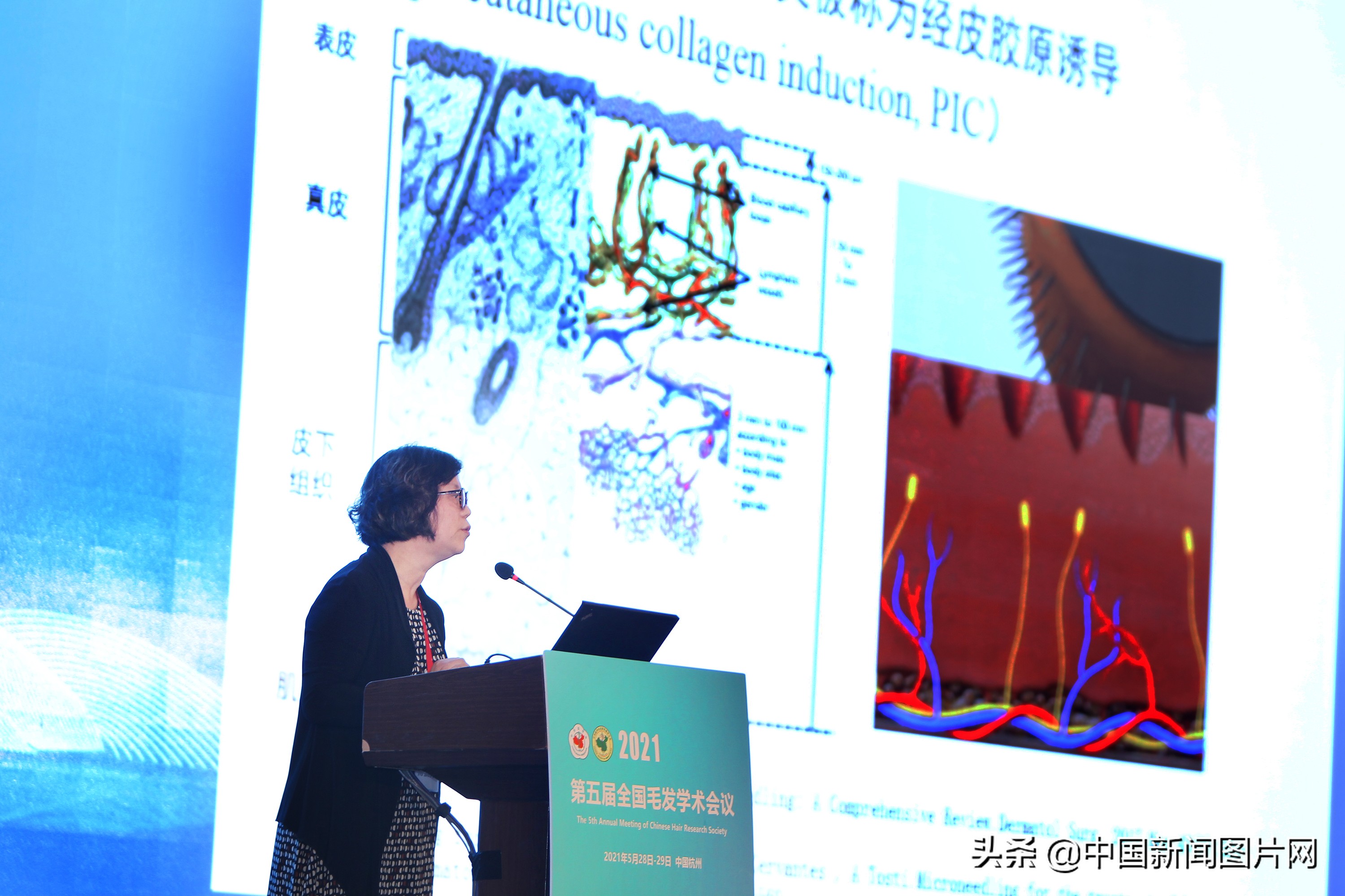 毛发学术会议,全国毛发学术研讨会