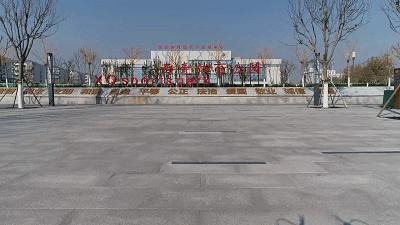 天津体育报道,天津体育节目单今日