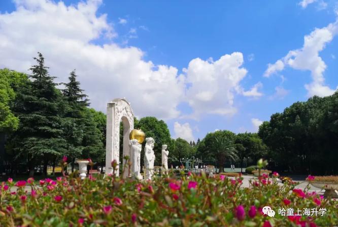 十二年一贯制，升学上牛校！这所老牌民办学校竟有野生鸟类观测园