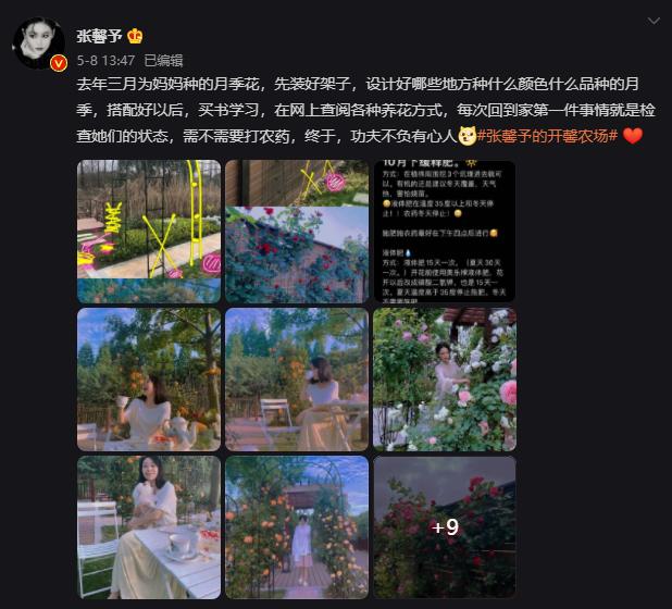 适合懒人家庭种菜100种,家里种菜这3种就够了