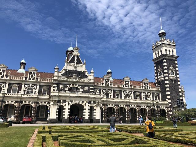 2019新西兰,2019年新西兰