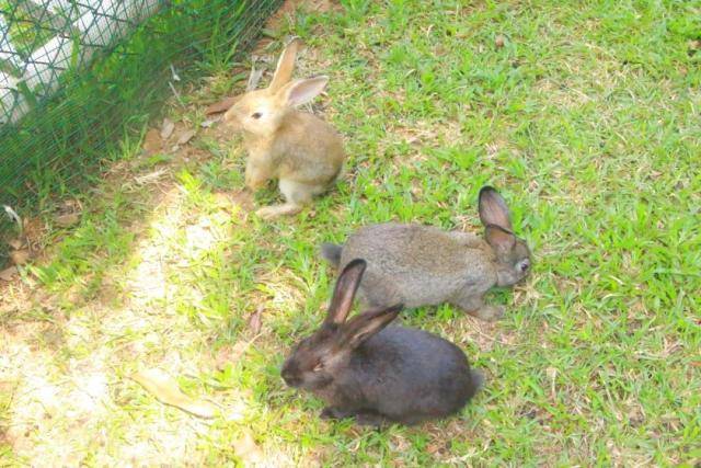 东莞唐拉雅秀酒店攻略,唐拉雅秀酒店游泳池