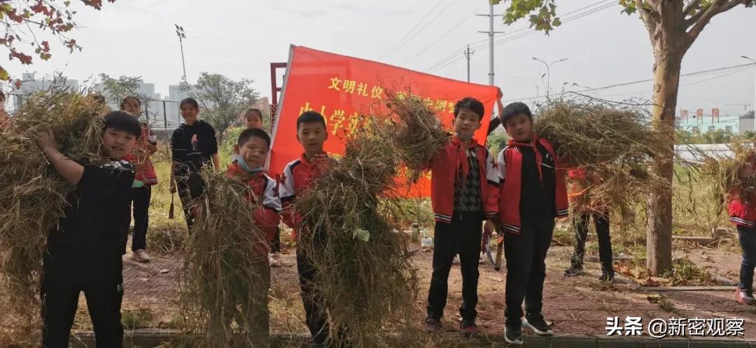 新密八一红军小学,新密八一红军小学怎么样