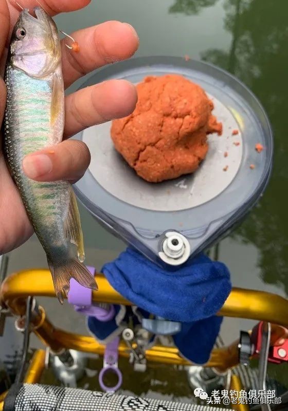 科学钓鱼评测老鬼速胜者鱼竿,老鬼速胜者水库